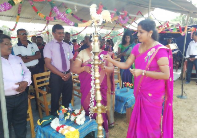 division sports 2019 16